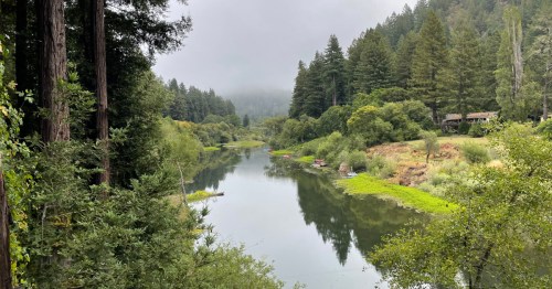 A serene river flows through a lush green landscape, surrounded by tall trees and misty mountains in the background.