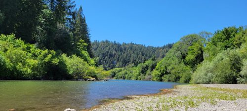 A serene river flows through a lush green landscape, surrounded by trees under a clear blue sky.
