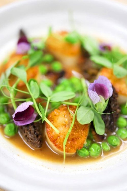 A gourmet dish featuring seared scallops, green peas, morel mushrooms, and edible flowers in a light broth.