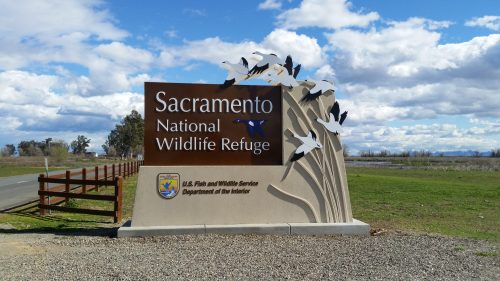 Sign for Sacramento National Wildlife Refuge featuring birds and a scenic sky.
