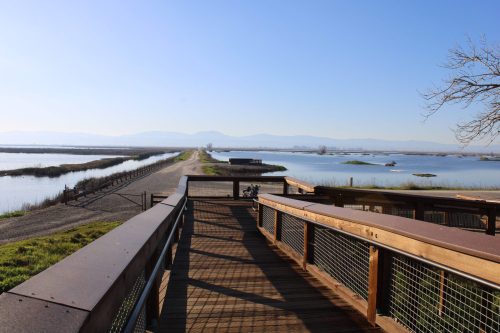 A wooden walkway leads to a scenic view of water and distant mountains under a clear blue sky.