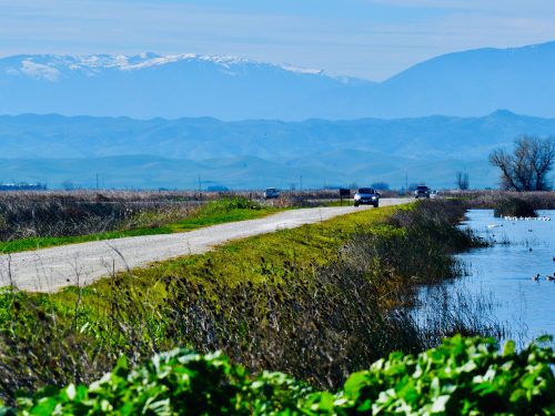 A gravel road bordered by water and greenery, with mountains in the background under a clear blue sky.