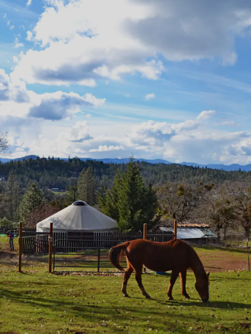 A brown horse grazes in a field with a yurt and mountains in the background under a partly cloudy sky.