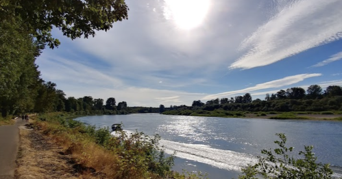 A serene river scene with sunlight reflecting on the water, surrounded by trees and a clear blue sky.