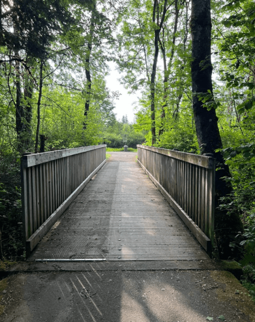 A wooden bridge leads through a lush green forest, surrounded by trees and dappled sunlight.