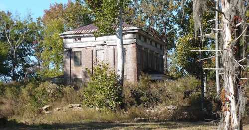 Abandoned brick building surrounded by overgrown vegetation and trees under a clear blue sky.