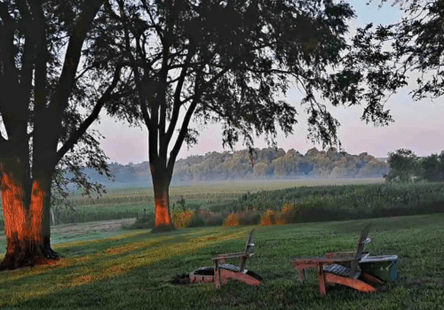 Two wooden chairs sit on a grassy area under trees, overlooking a misty field at dawn.