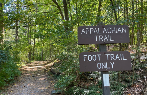 A wooden sign marks the Appalachian Trail, indicating a foot trail only, surrounded by lush green trees.
