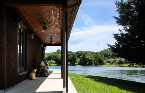A peaceful lakeside view from a porch, featuring a dog sitting on the concrete and lush greenery in the background.
