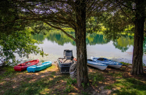 Kayaks and a small boat are parked under a tree by a calm pond, surrounded by lush greenery and reflections on the water.
