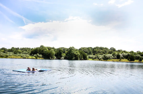 Two people paddle on a blue kayak in a calm lake surrounded by lush greenery under a bright sky.