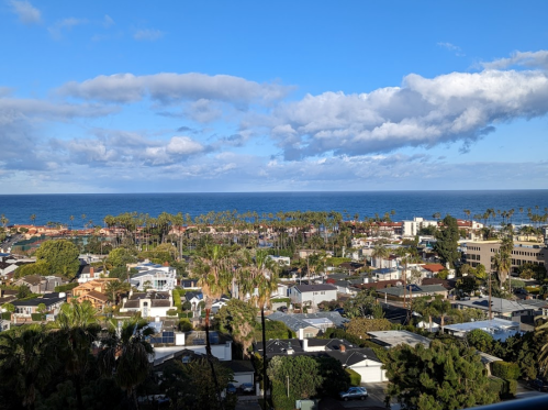 A coastal view of a neighborhood with palm trees, houses, and the ocean under a partly cloudy sky.