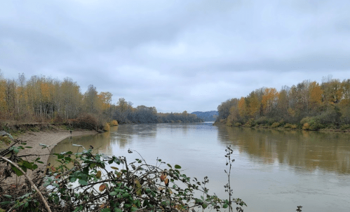 A calm river flows through a landscape of trees with autumn foliage under a cloudy sky.