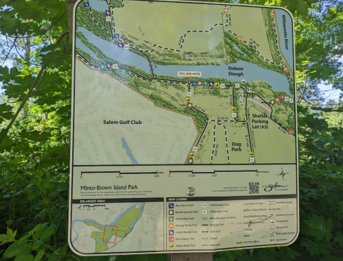 Map of Minto-Brown Island Park showing trails, parking, and nearby features, with "You Are Here" marked.