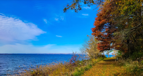 A scenic lakeside path lined with colorful autumn trees under a clear blue sky.