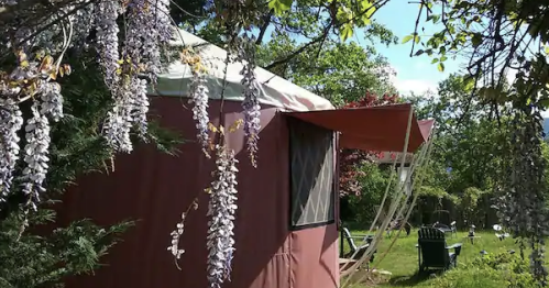 A cozy yurt surrounded by blooming wisteria and lush greenery under a clear blue sky.