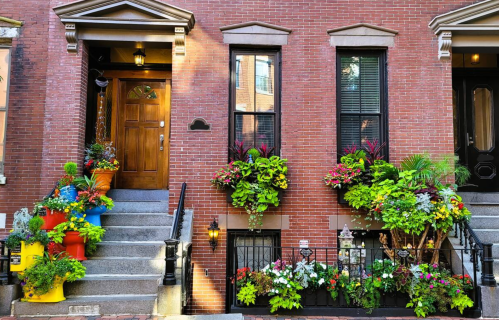 A charming brick townhouse with vibrant flower pots and lush greenery adorning the steps and windows.