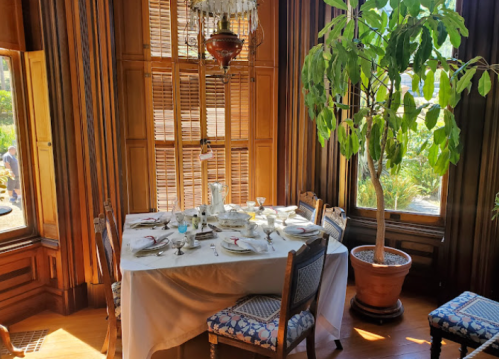 A beautifully set dining table with elegant tableware, surrounded by wooden walls and a potted plant in a sunlit room.