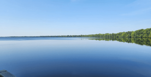 A calm lake reflecting a clear blue sky and lush green trees along the shoreline.
