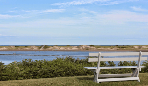 A white bench overlooks a calm beach with gentle waves and people walking along the shore under a blue sky.