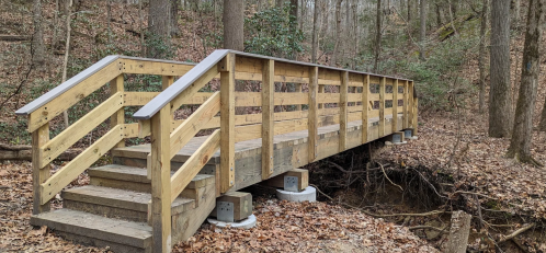 A wooden bridge with a railing spans a small ravine, surrounded by trees and fallen leaves.