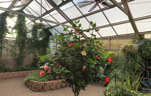 A greenhouse interior featuring lush greenery and vibrant flowers, with a brick pathway and large windows.