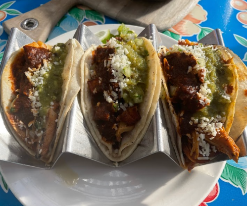 Three tacos in a metal holder, filled with meat, topped with green sauce and cheese, on a colorful table.