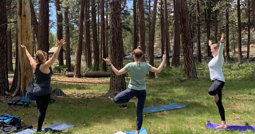 Three women practicing yoga outdoors among tall trees, each in a different pose on yoga mats.