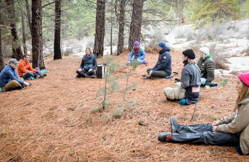 A group of people sitting in a circle on pine needles in a forest, engaged in a discussion or meditation.