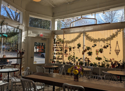 Bright café interior with wooden tables, chairs, and a window adorned with hanging plants and flowers.