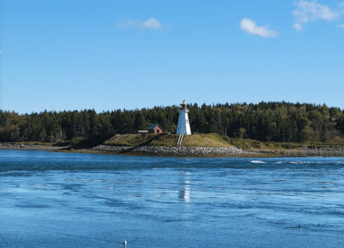 A white lighthouse on a grassy island surrounded by calm blue water and green trees under a clear blue sky.