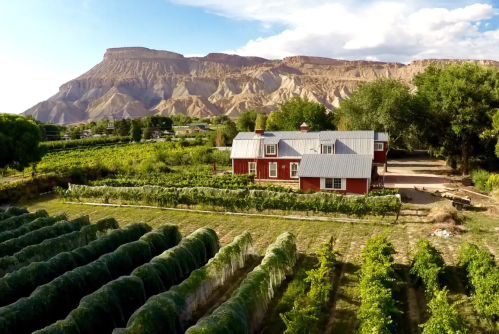 A scenic view of a red farmhouse surrounded by lush vineyards and mountains in the background under a blue sky.