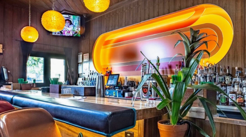 A stylish bar with a wooden interior, colorful lighting, and a plant, featuring a TV and shelves of liquor.