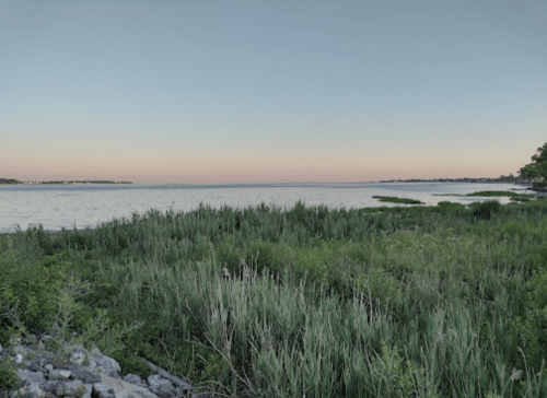 A serene lakeside view at dusk, featuring calm waters and lush green vegetation along the shore.