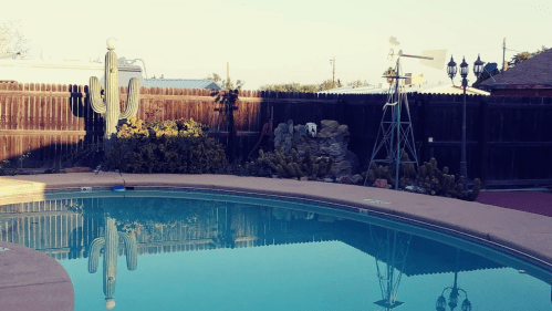 A serene backyard scene featuring a pool, cacti, and a windmill against a wooden fence.