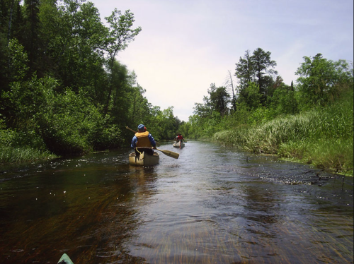 Two people canoeing on a serene river surrounded by lush green trees and grass under a clear sky.