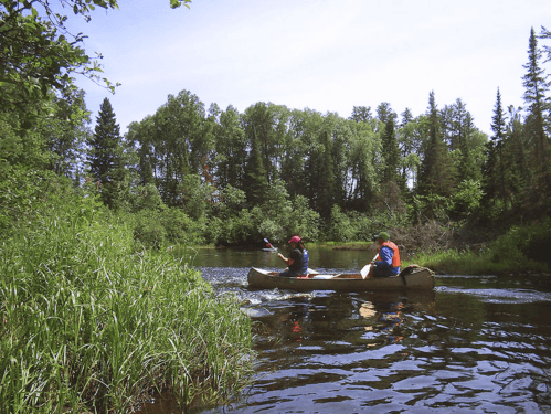 Two people canoeing on a calm river surrounded by lush green trees and grass.