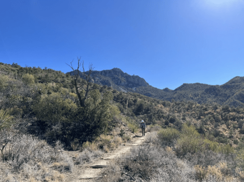 A person biking on a dirt trail surrounded by mountains and greenery under a clear blue sky.