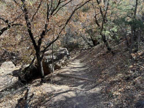 A winding dirt path through a wooded area with autumn leaves and rocky terrain.