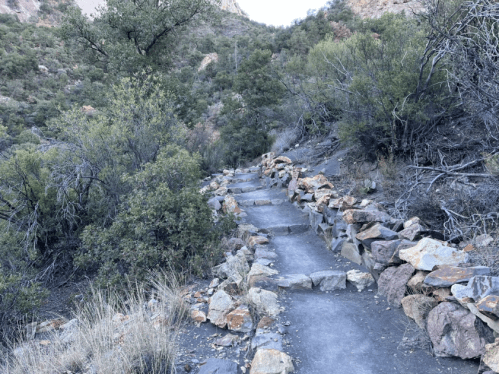 A rocky trail winds through a green landscape with shrubs and trees on either side.