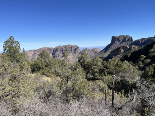 A scenic view of rugged mountains and trees under a clear blue sky.
