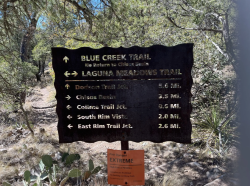 Trail sign indicating directions and distances for Blue Creek Trail and Laguna Meadows Trail, with warnings about fire danger.