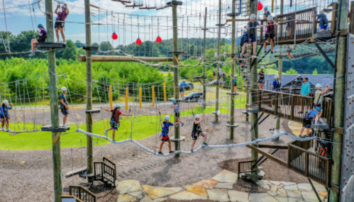 Aerial adventure park with people navigating ropes courses and climbing structures in a green outdoor setting.