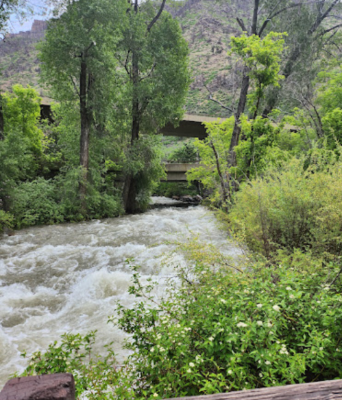 A rushing river flows through lush greenery, with trees lining the banks and a bridge visible in the background.