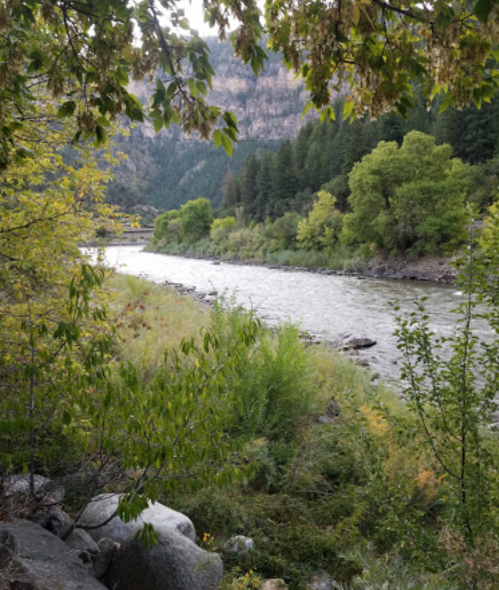 A serene river flows through a lush green landscape, surrounded by trees and rocky banks under a cloudy sky.