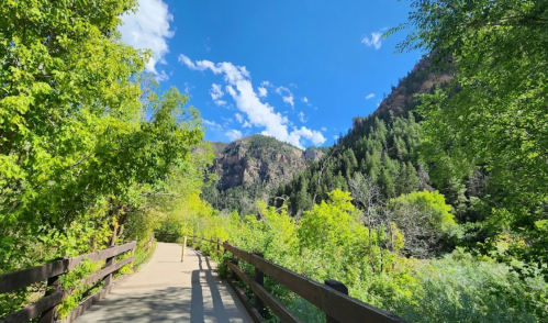 A scenic pathway surrounded by lush greenery and mountains under a bright blue sky with scattered clouds.