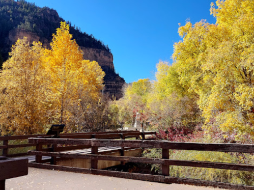 A scenic view of a wooden bridge surrounded by vibrant autumn trees and a clear blue sky.