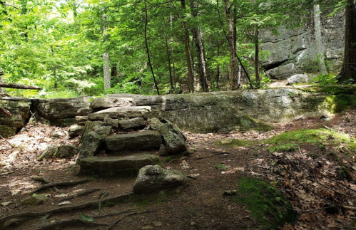 A rocky path leads to stone steps in a lush green forest, surrounded by trees and moss-covered ground.
