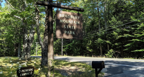 Sign for Bradbury Mountain State Park, with a picnic area sign nearby, surrounded by trees and a road.
