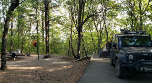 A campsite in a wooded area with a tent, picnic table, and a parked Jeep surrounded by trees.